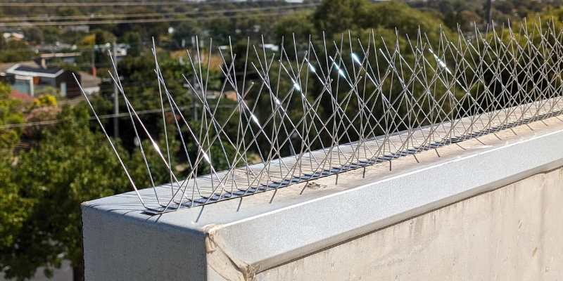 Bird spikes installation