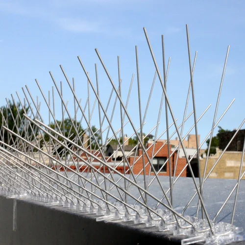 Bird spikes close view