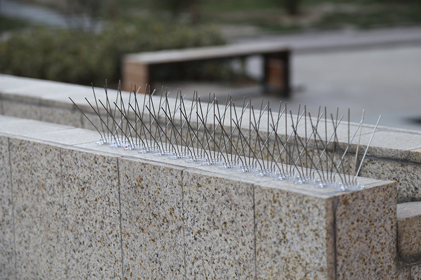 Bird spikes installation for apartment balcony