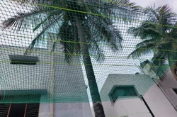 Coconut safety nets installation project