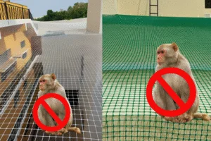 Monkey safety nets installation project